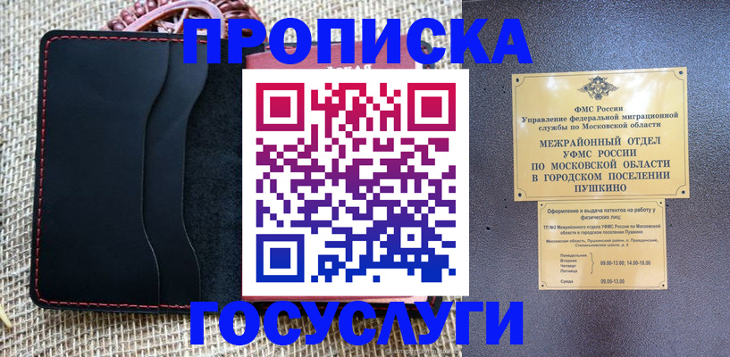 временная регистрация поиск в Новотроицке